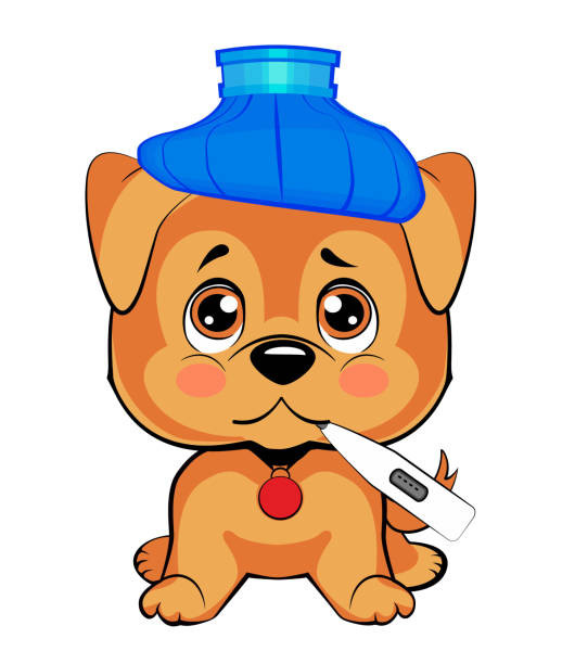 「狗狗犯風水剋犬煞