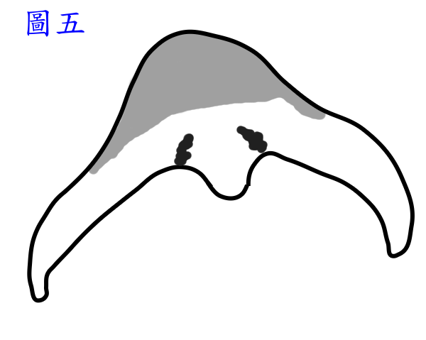 fengshui風水巒頭之龍虎左回右抱圖